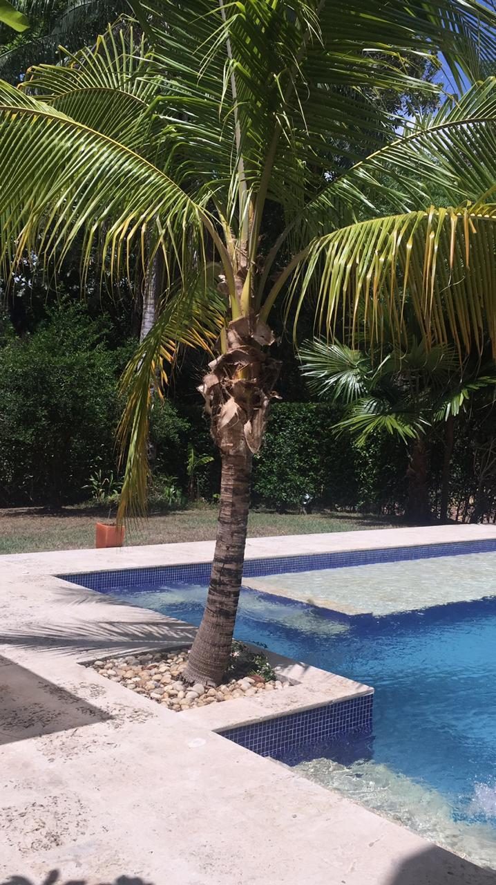  NILO (CUNDINAMARCA) CONDOMINIO PACOLI VENTA CASA CAMPESTRE en NILO CONDOMINIO PACOLI, Nilo