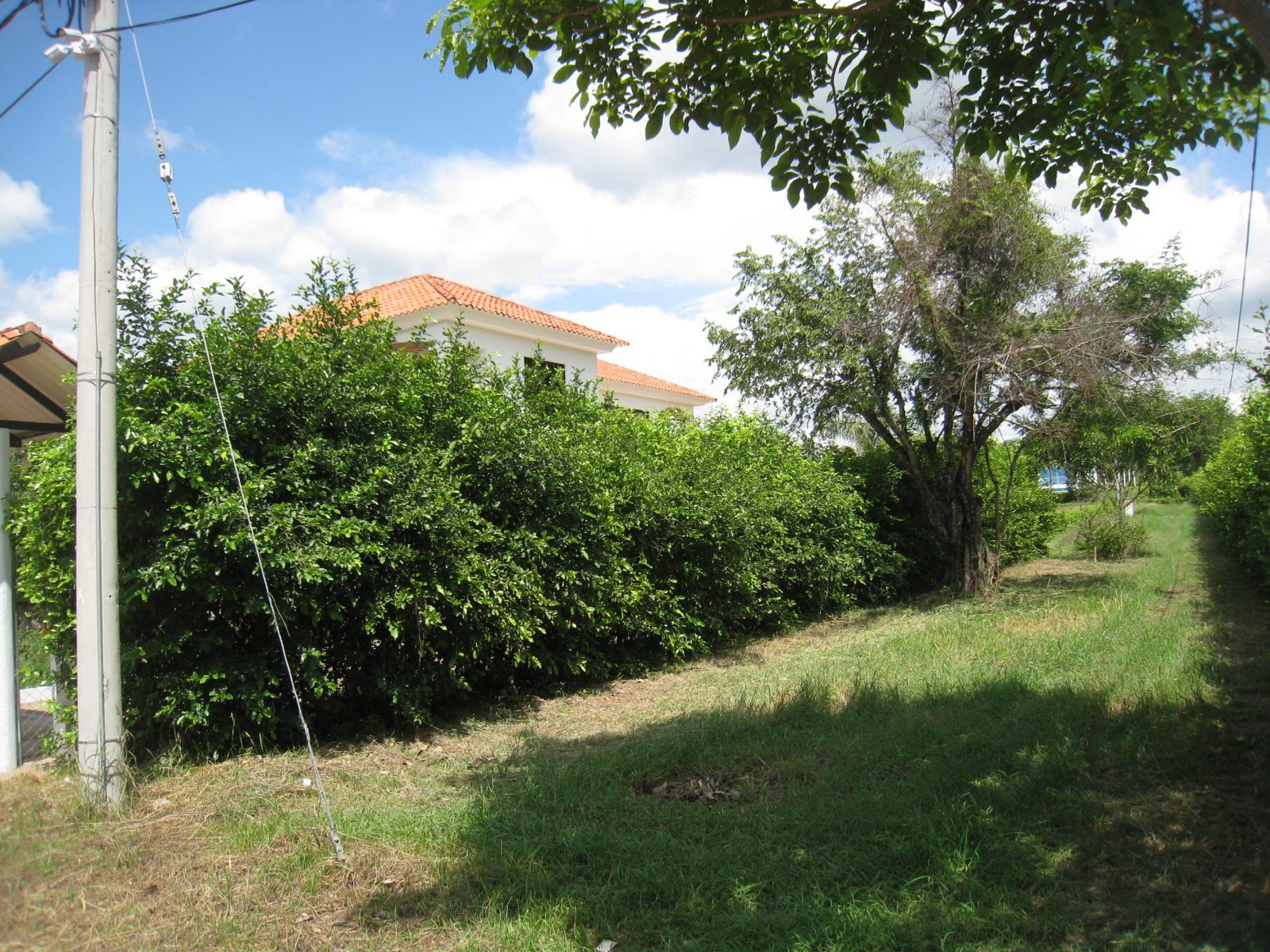 NILO (CUNDINAMARCA)  CONDOMINIO PACOLI VENTA CASA CAMPESTRE en NILO VEREDA LOS COBOS, Nilo